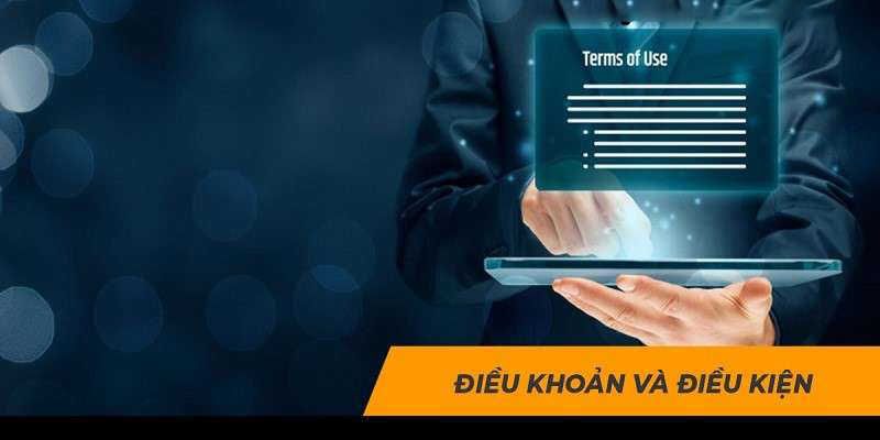 Điều kiện và điều khoản HB88 3 Khuyến mãi và ưu đãi của nhà cái HB88
